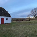 Cattle And Horses At Lundstedet At Skovsgaard Prázdninový dům Rudkøbing