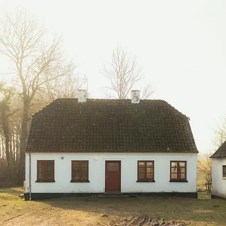 Cattle And Horses At Lundstedet At Skovsgaard Prázdninový dům Rudkøbing