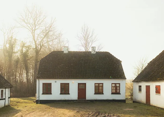 Cattle And Horses At Lundstedet At Skovsgaard Сasa de vacaciones Rudkøbing